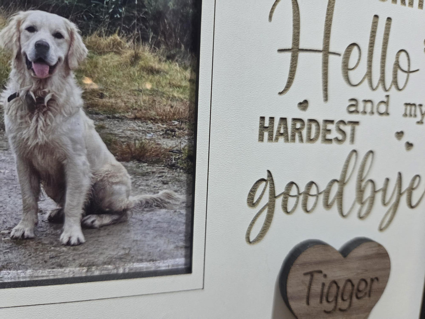 Personalised Pet Memorial Frame, Custom Pet Collar Holder Plaque