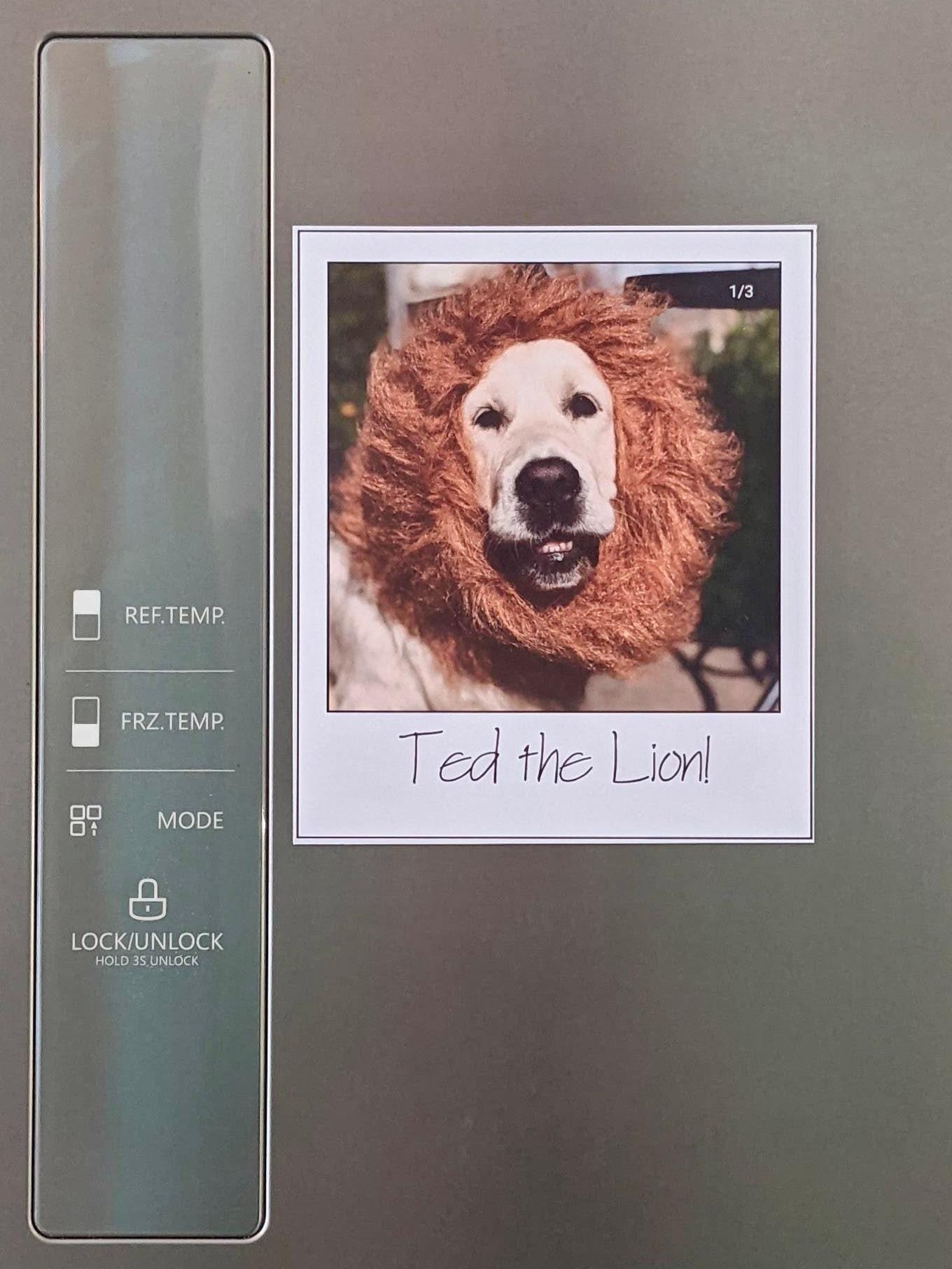 Personalised Photo Magnet – Custom Picture Magnet
